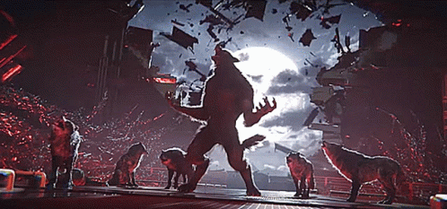 1699511495220.gif