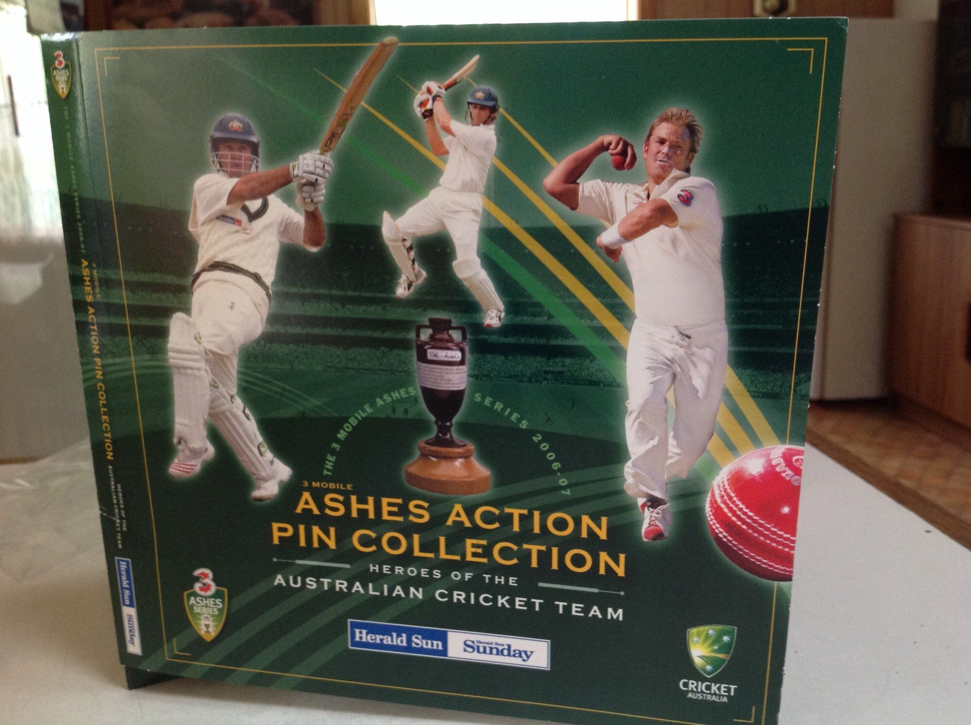 2006-07 pins front cover.jpg