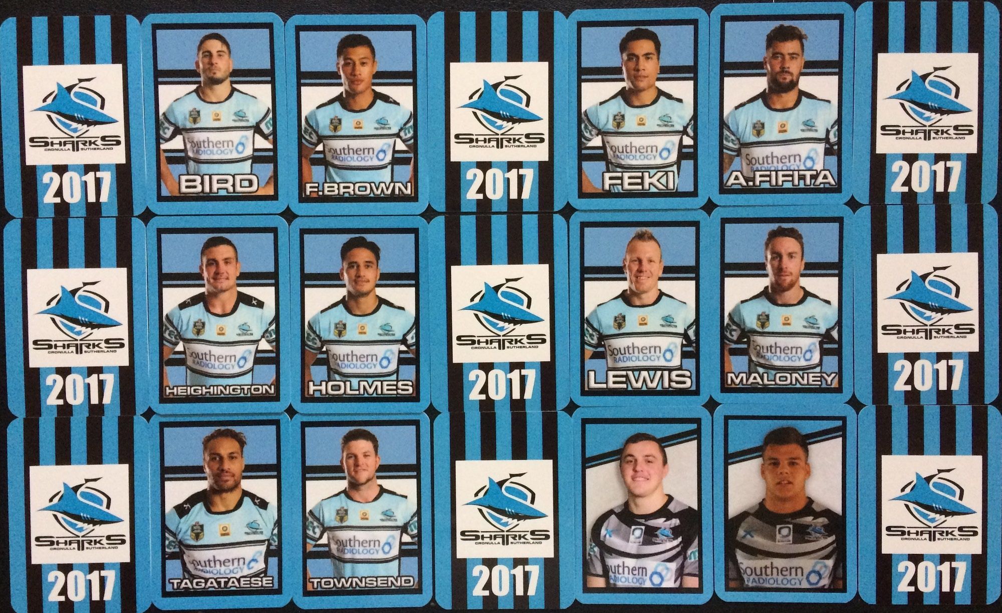 2017 CRONULLA TEAM SET REAR.JPG