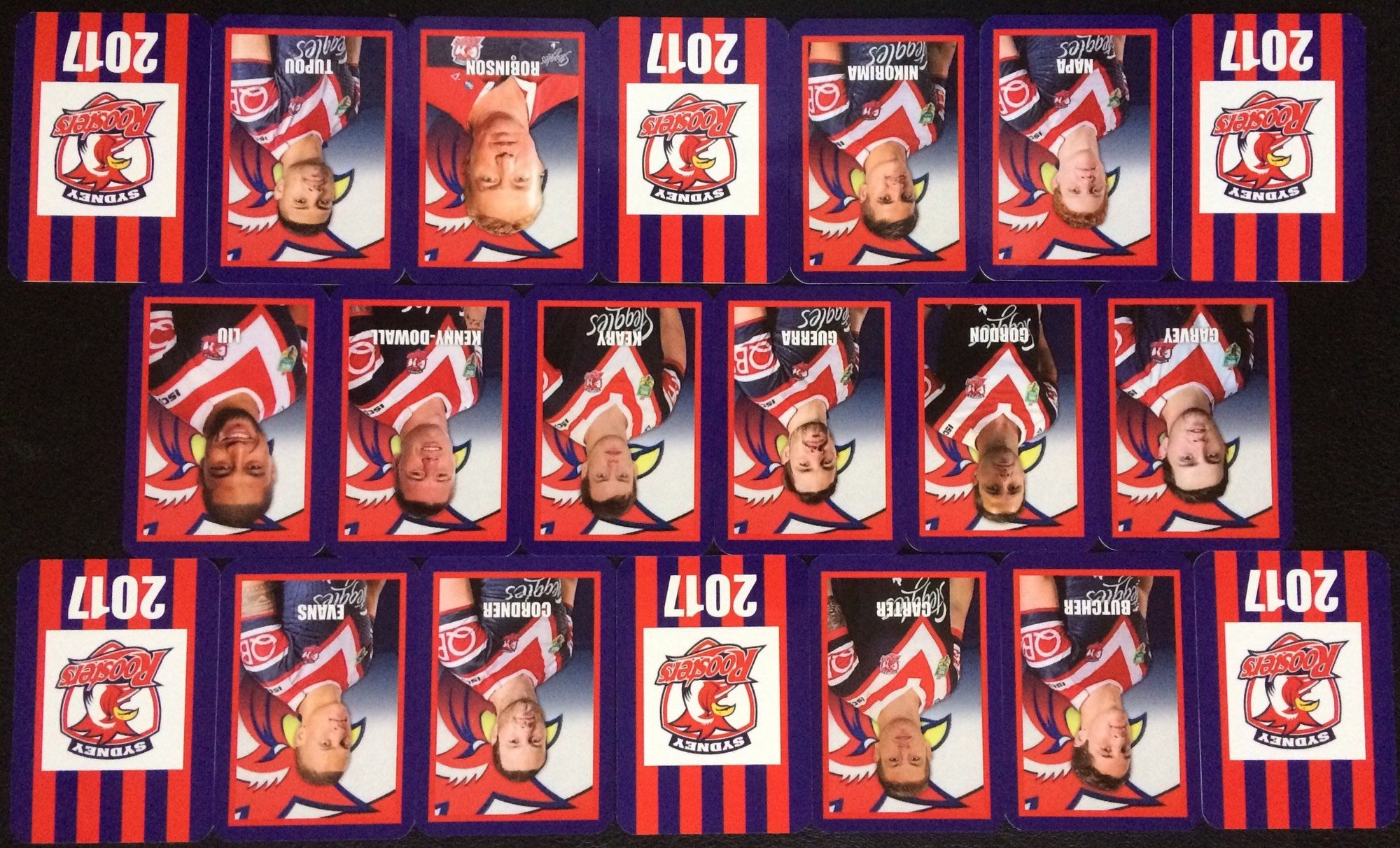 2017 ROOSTERS TEAM SET REAR.JPG