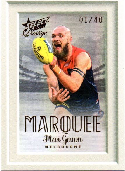 2021 Marquee MP11.jpg