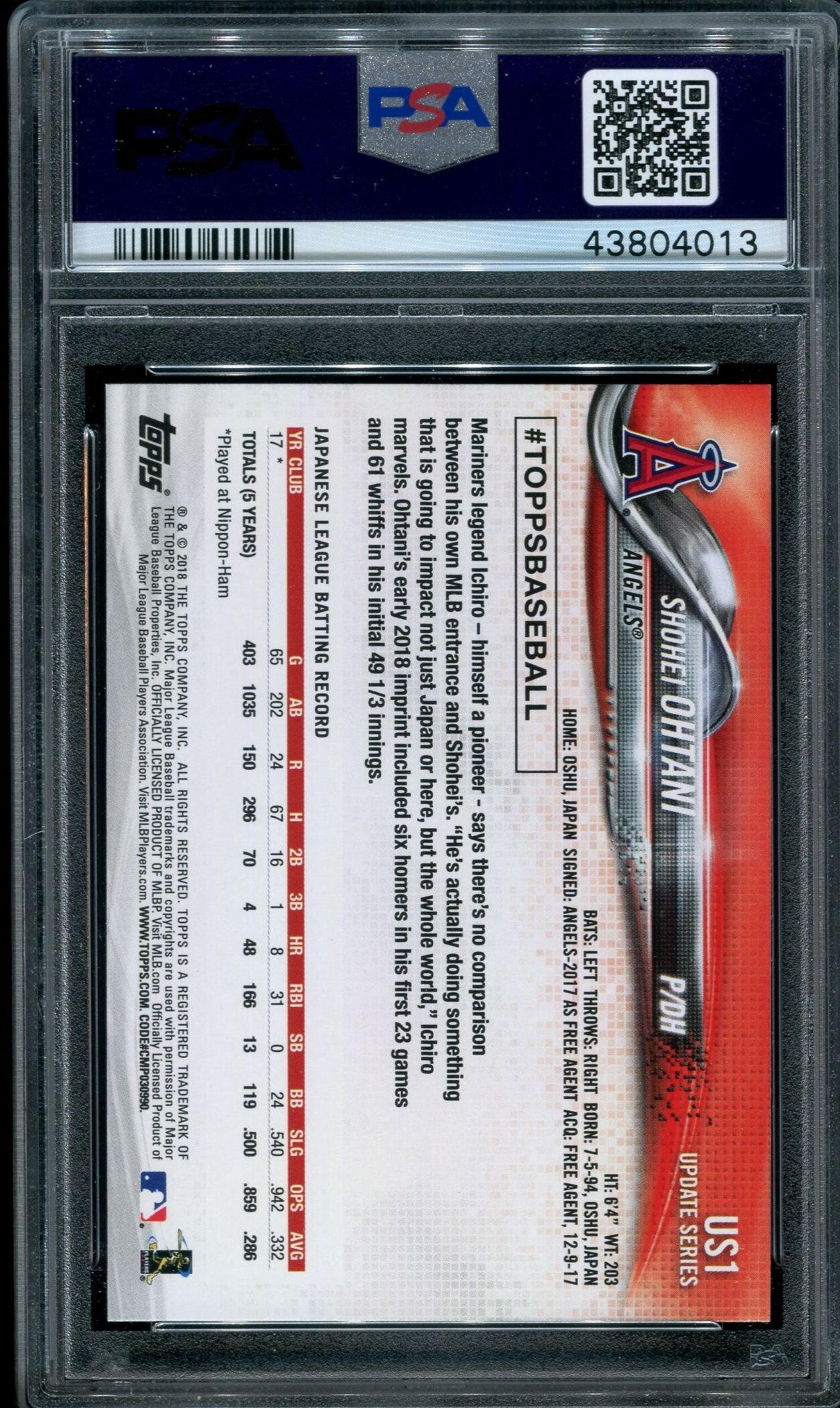 43804013b.jpg