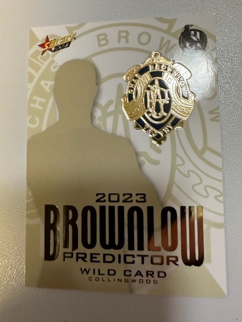 Brownlow Predictor1.jpg