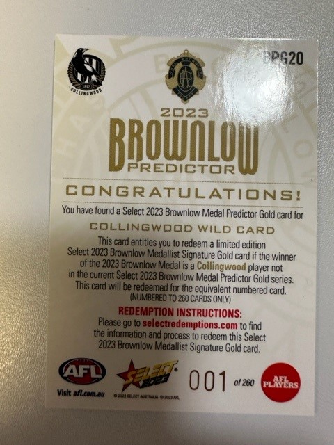 Brownlow Predictor2.jpg