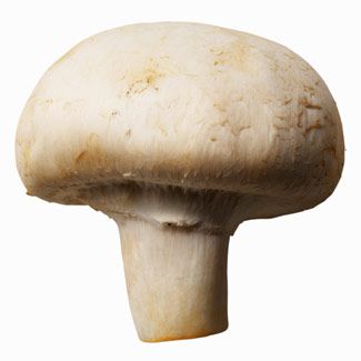 button-mushrooms1.jpg