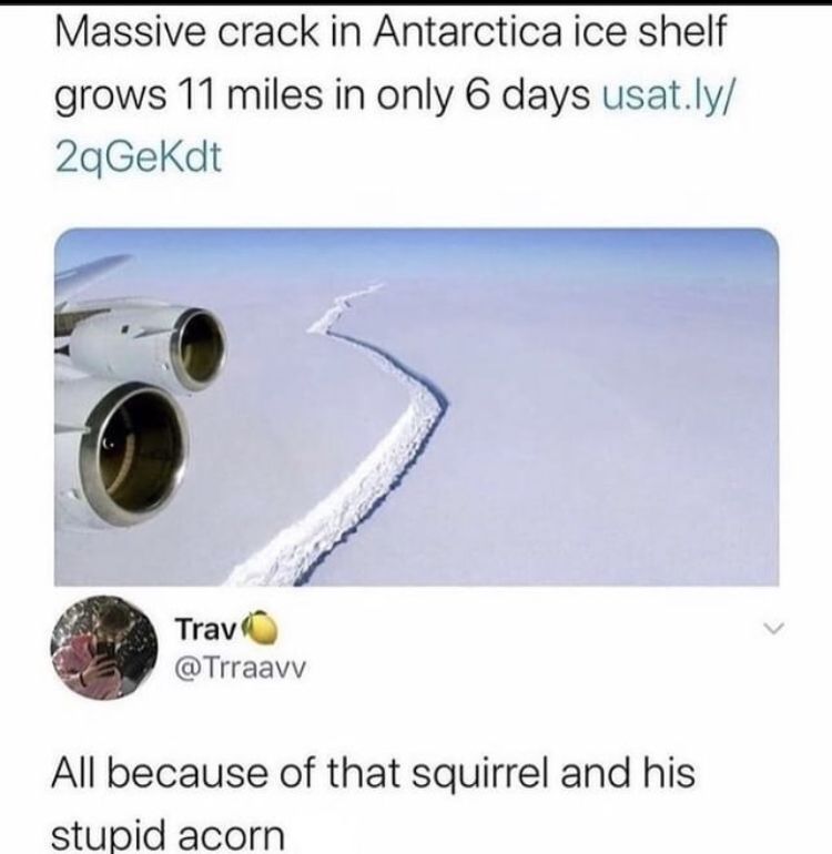 C351D8D8-69F0-4582-B6DC-DE50156D7E52.jpeg