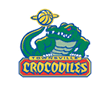 crocs.png