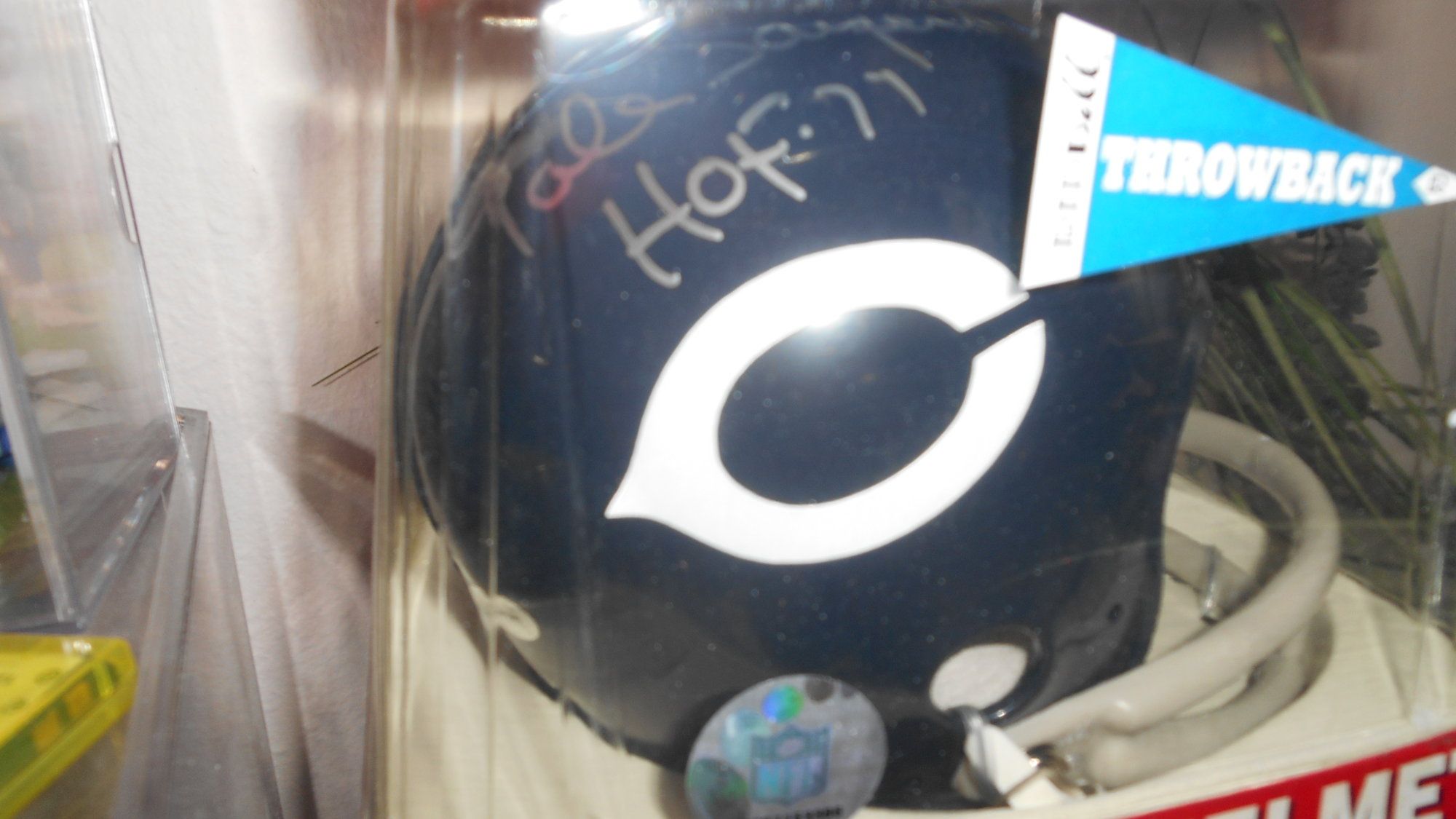 DSCN0533.JPG