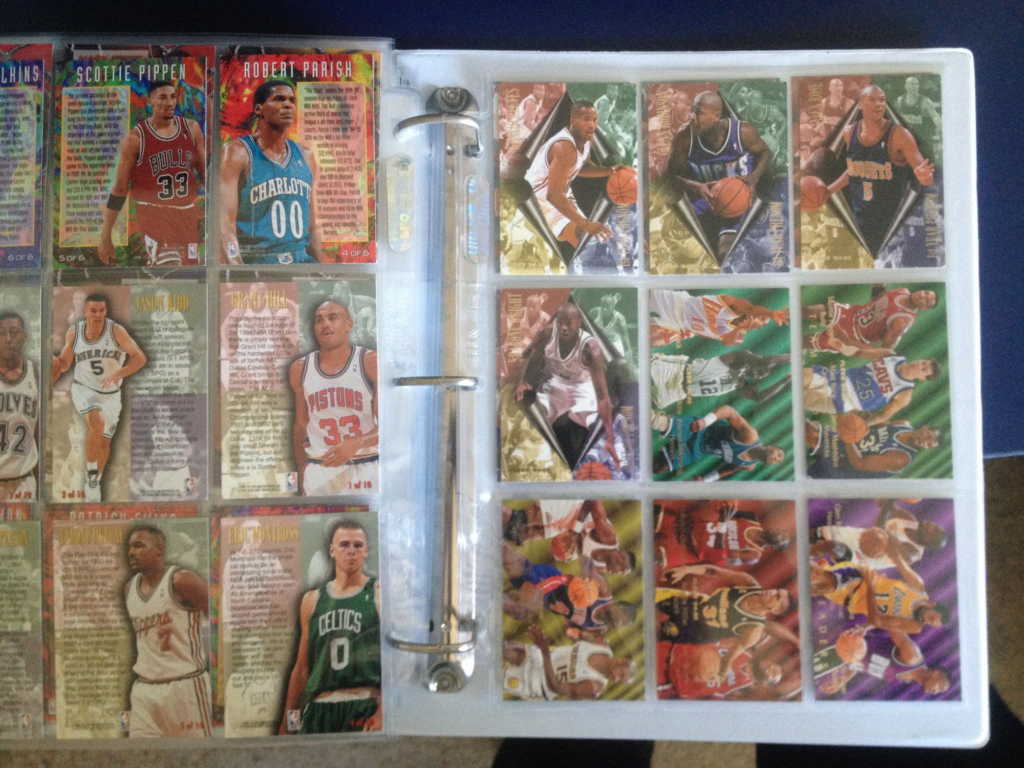 Fleer 94:95 16.JPG