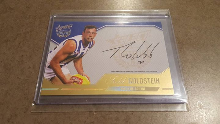 goldstein auto.jpg