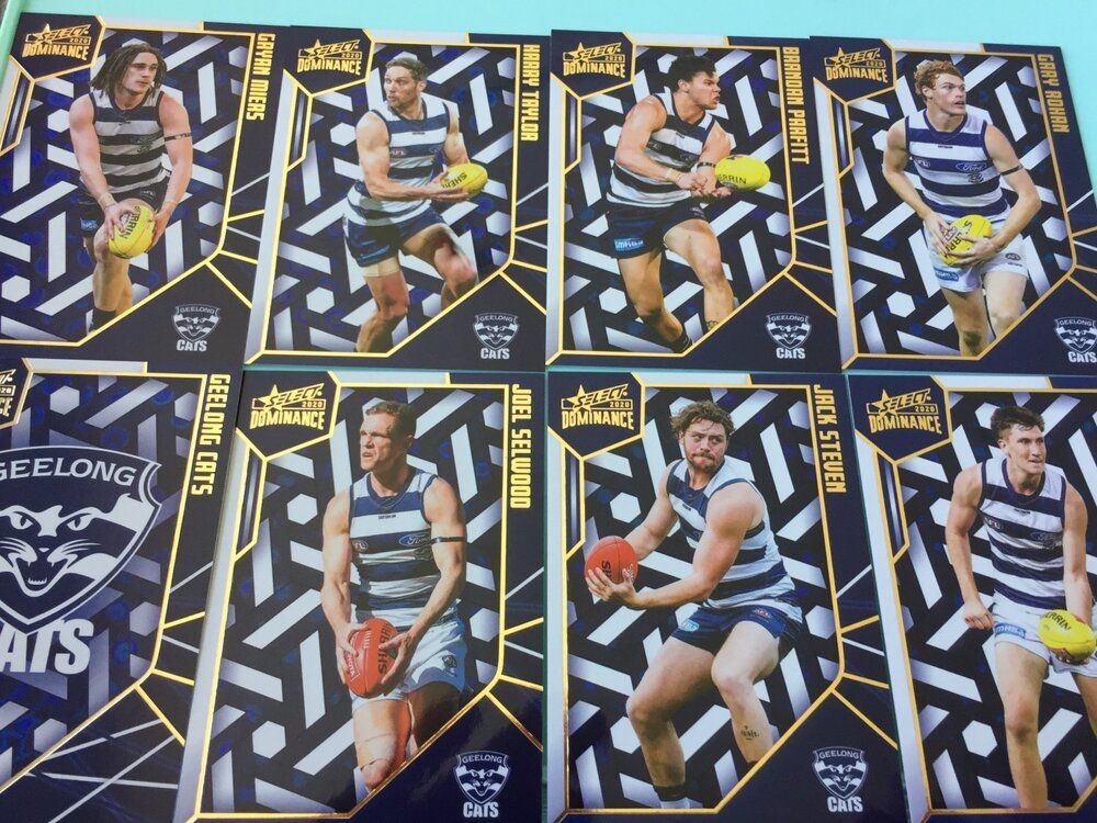 hologeelong.jpg
