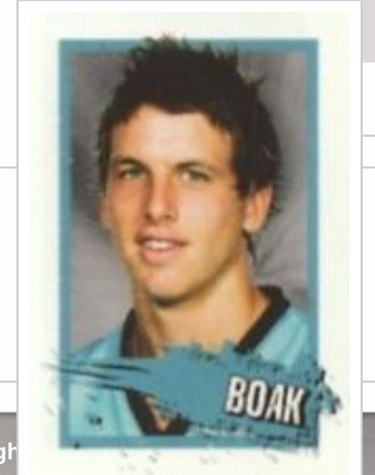 2013 TEAMCOACH GEELONG TOM HAWKINS 3D BEST AND FAIREST BF07 CARD afl 