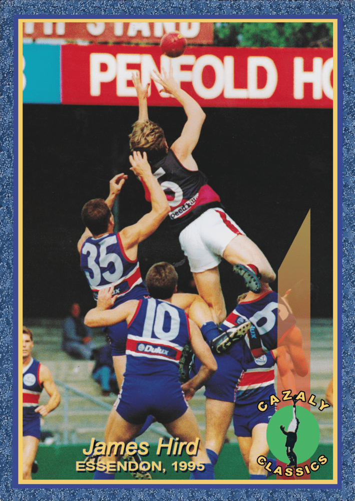 James Hird (1995).png