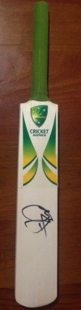 mini bat 2.jpg