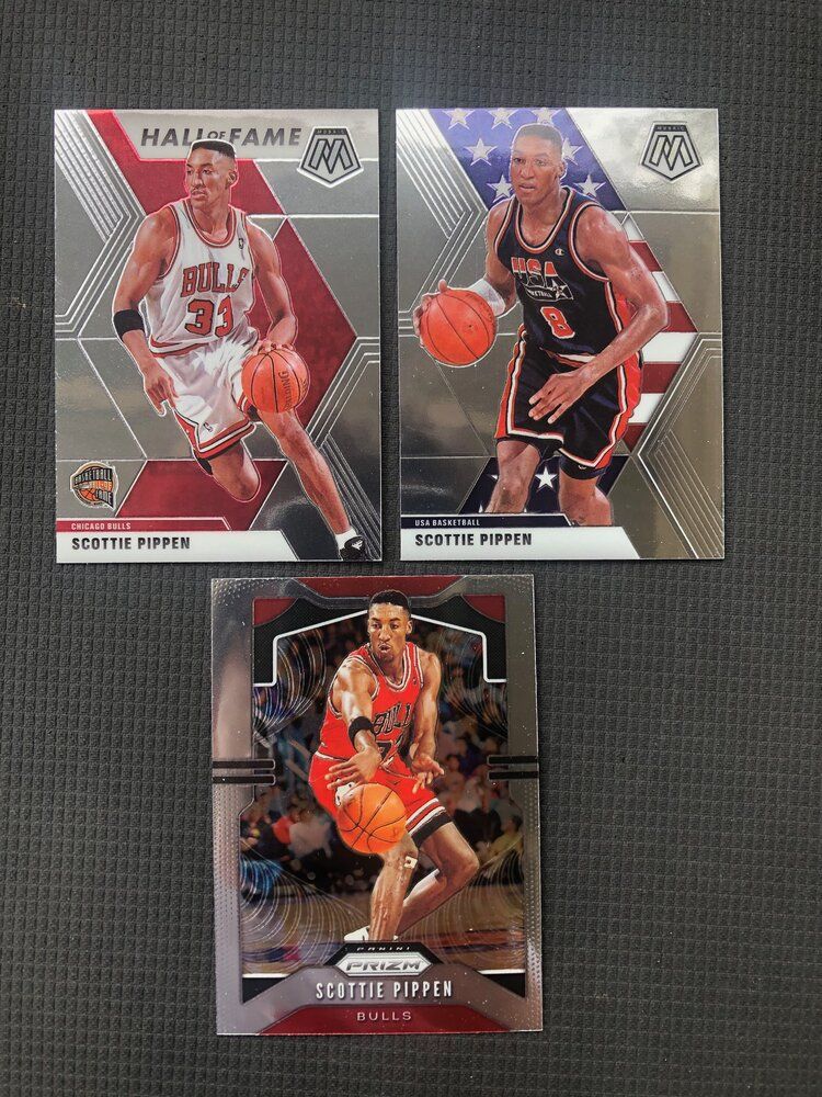 Pippen Lot.jpeg