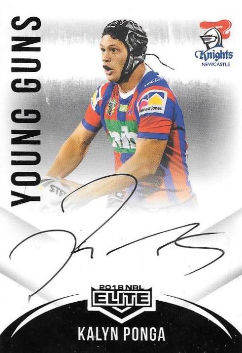 Ponga.jpg