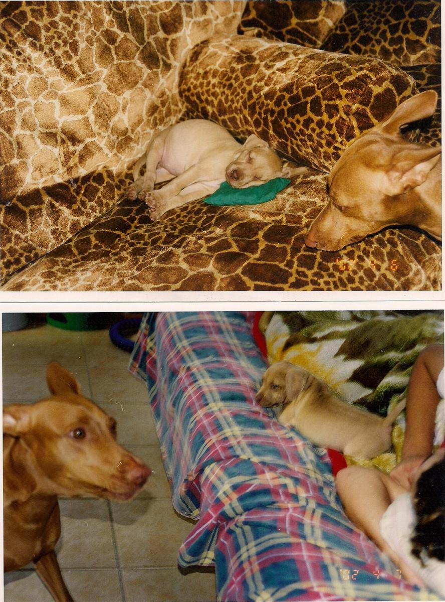 scan0040.jpg