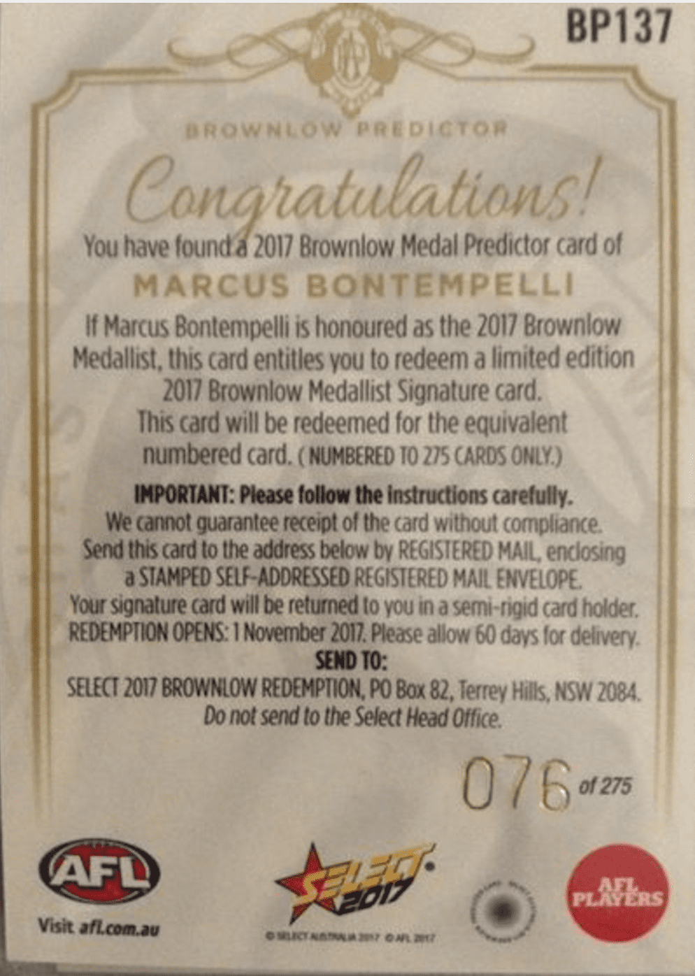 THE BONT 2.PNG