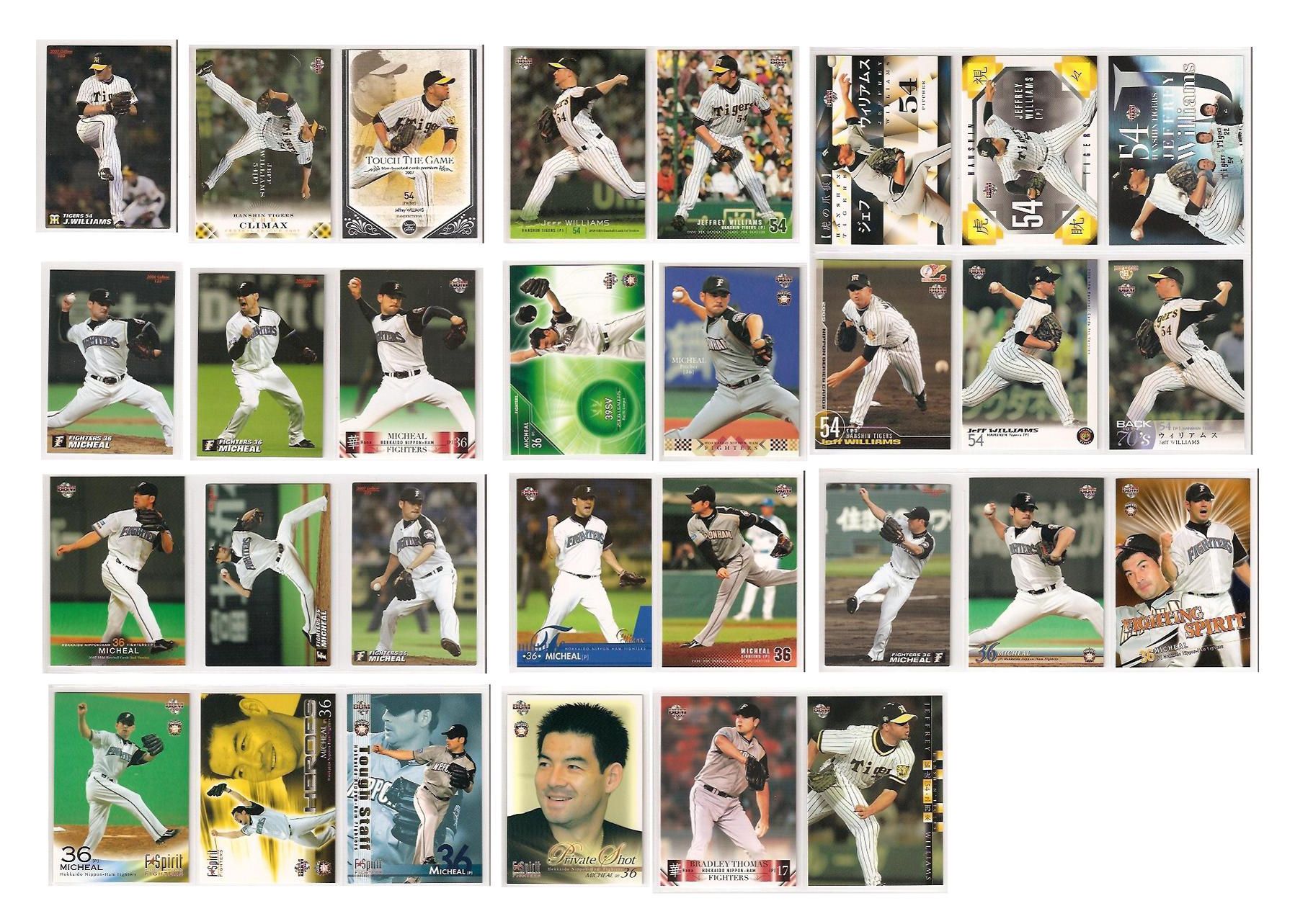 Wanted Japanese Baseball Cards.jpg