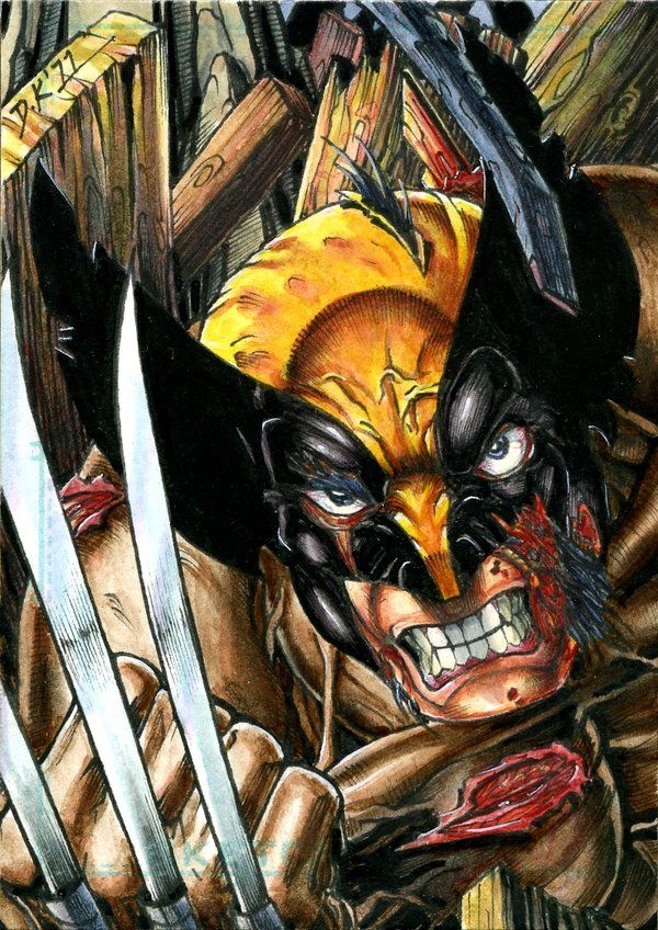 wolverine_atc_colors_by_dkuang-d3a3qqv.jpg