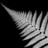 nznrl