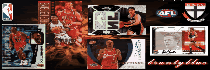 bruntybluebanner-1-1.gif