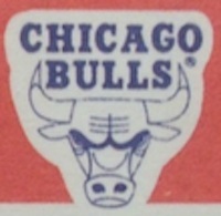 Fake-Bulls-Logo.jpg